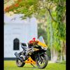 user8668165530104