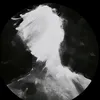alexandre_217