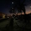 aisha_arashdan