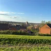 vineycon
