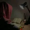 user_pet_09