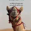 user1827636029948
