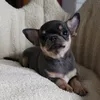 chihua_aura
