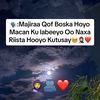 hawa62768