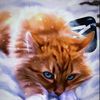 iluvflametail