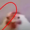 munchingontwixdih
