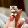 ho.__zz30