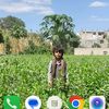 user2055318327290