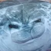 _kirshxww_