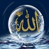 user9915453174531