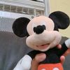 mickeyfan19