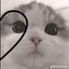 user9900379218508