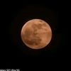 moon27876