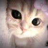 fairy_dollxox
