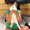 israela.lucas