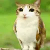 hola.como.esras3