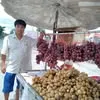 phi.nho4