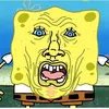 shockedbob
