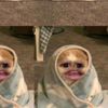 chby_3