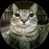 x_gatopana_x