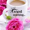 mohamed.sajath529