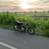 tok.dalang546