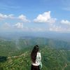 angla517