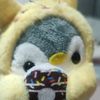 pinguichw