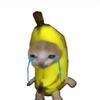chat_gpt012