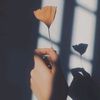 sky_relkykyks