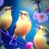 user4926067219958