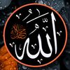 user4767533677753