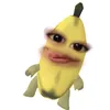quin_cyyy8