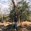 siuufan7