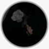 user6072911096845