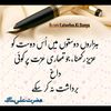 zameerahmad024