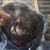 ddot119_