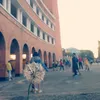 dantapchualanh