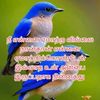imtiyazmuhammad74