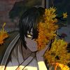 user335710146326