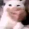 khaiii7996