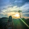 valennn_790