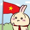 usagihoccavutru