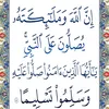 umar63746