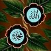 abdoul.kader3751