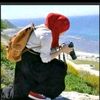i_151tiktok.comi_151mine