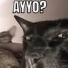 vpn.octorio
