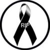 user9540163525205