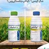 ameerali6714