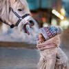 asmaayounis06